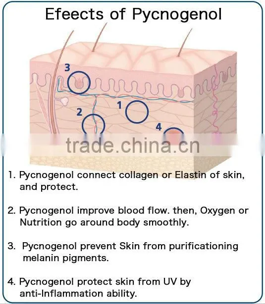 Japanese and Reliable acid hyaluronic collagen drink for skin care