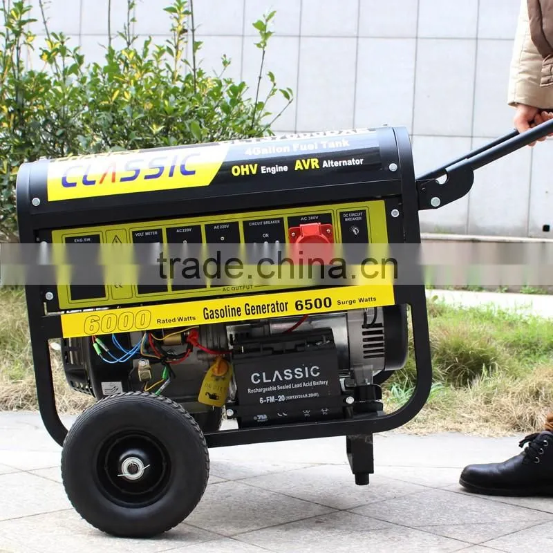 BISON(CHINA) Biogas Generator Prices Pakistan