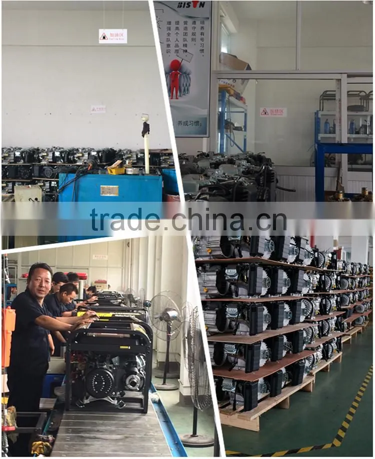 BISON(CHINA) Small 12v DC Gasoline Generator