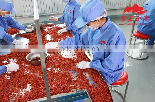 Dried Goji Berry 650grains/50g