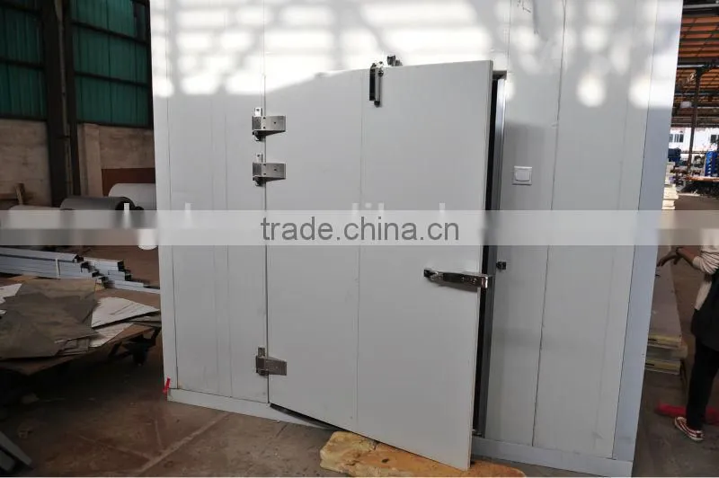 High quality hinged cold room door / Polyurethane insulation cold storage door