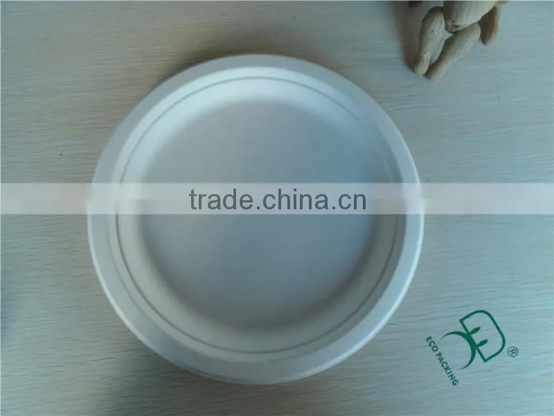 Paper disposable food serving trays for party