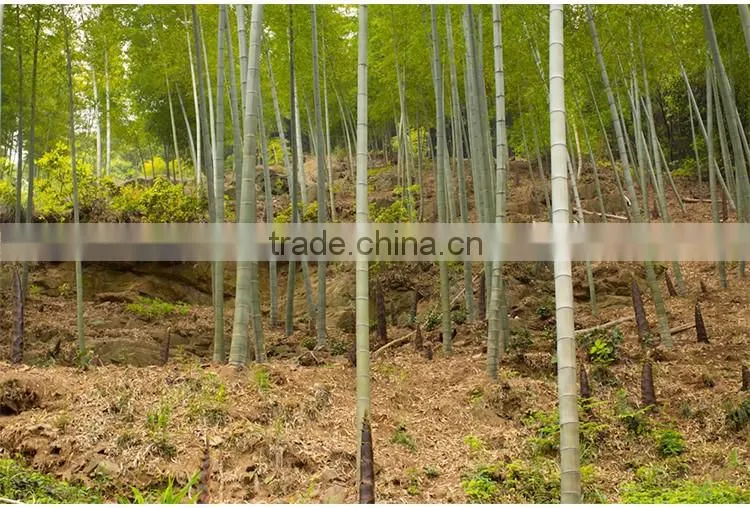 HOT Sale Eco-friendly Handmade Old Bamboo Matcha Spoon