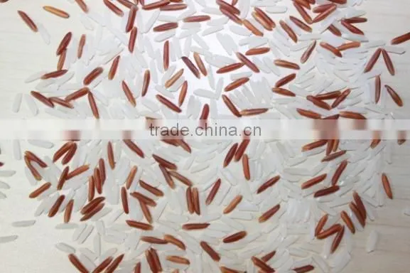 WHOLESALE ORGANIC RED RICE FROM VIETNAM