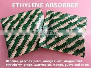 Dalian Xinyang Import & Export Co., Ltd. company overview - view 2