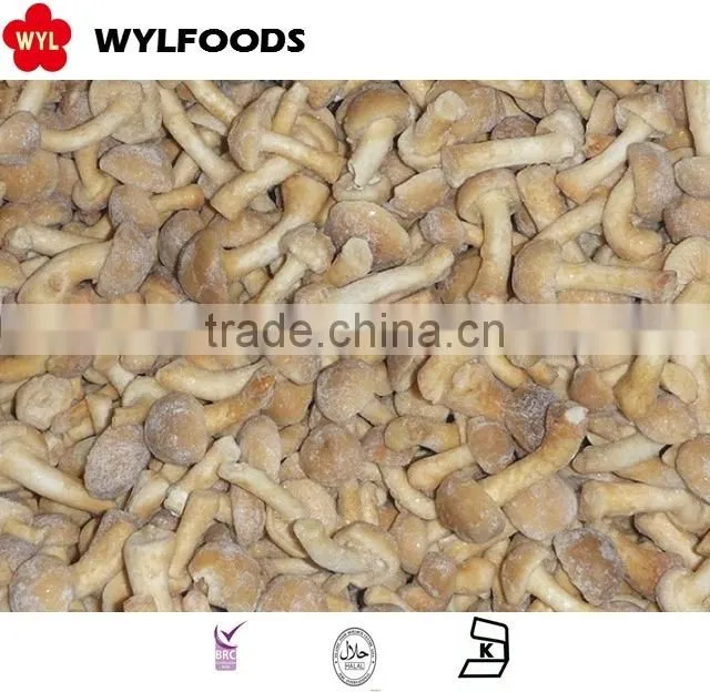 IQF mushroom grade B nameko wholesale price