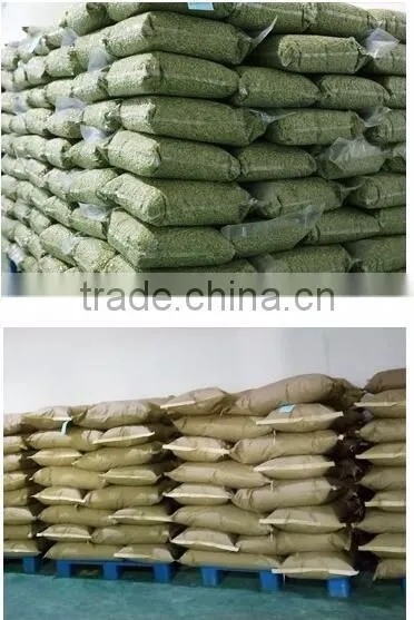 Chinese pumpkin kernels grow without shell grade AA for sell