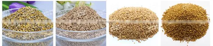 careful selected pure schisandra chinensis bee pollen
