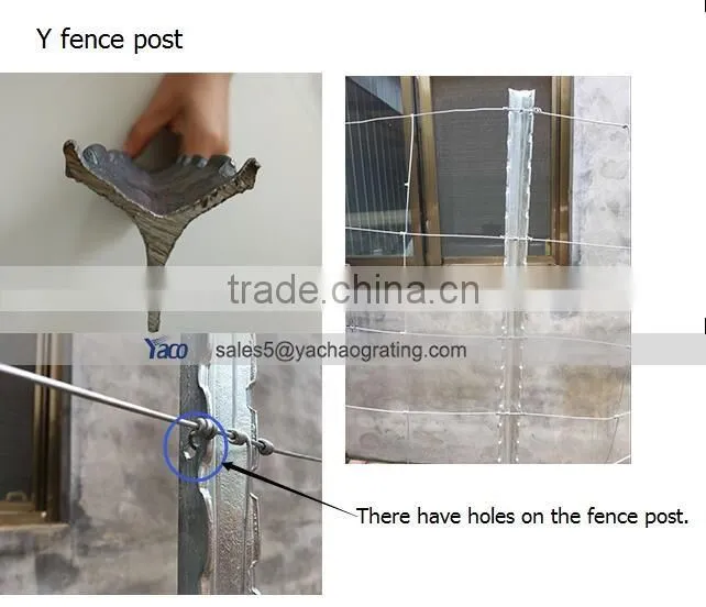 Hot sale 1.33lb per ft Green Painted Studded T post