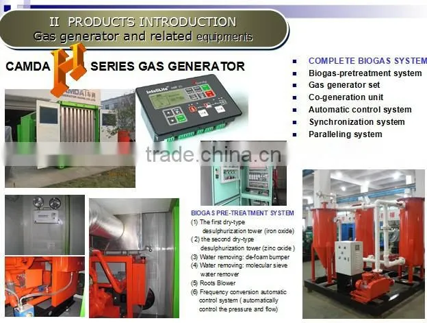Ce And Iso Approved Biogas Generator / Natural Gas Generator / Biomass Power Plant