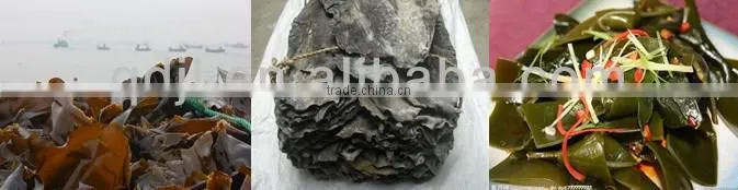Seaweed extract amino acid fulvic acid alga 100% water soluble fertilizer for agriculture