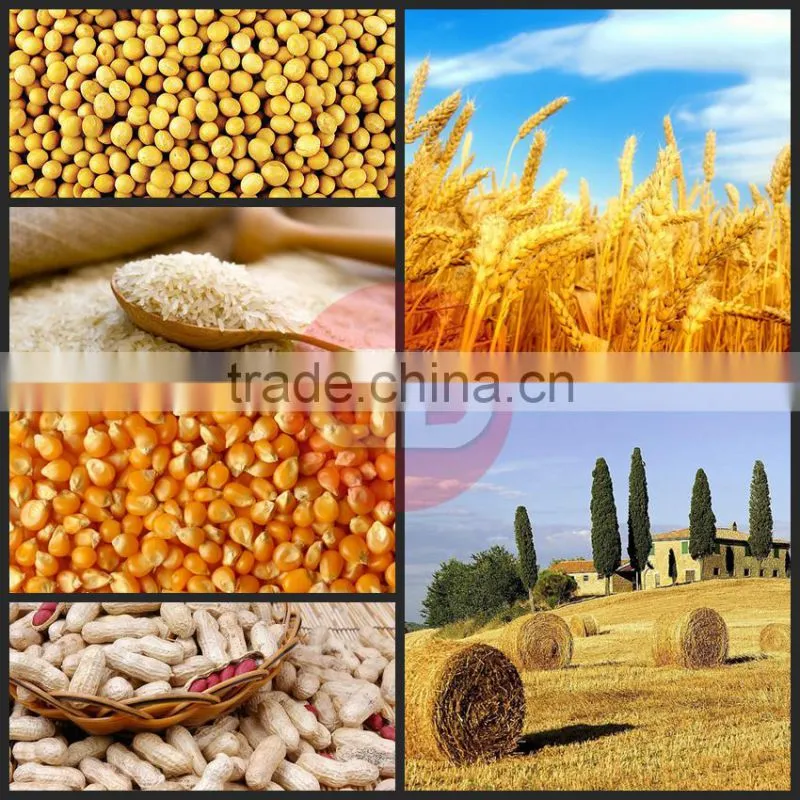 Hot sale Automatic Animal Feed Pellet Production Line