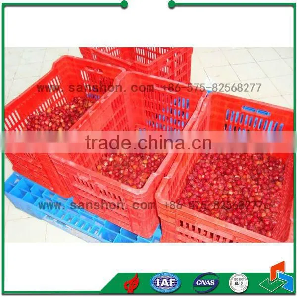 Advanced Sanshon LSZ Model Fluidized Iqf Fruit, Vegetable and Seafood Quick Freezing Tunnel