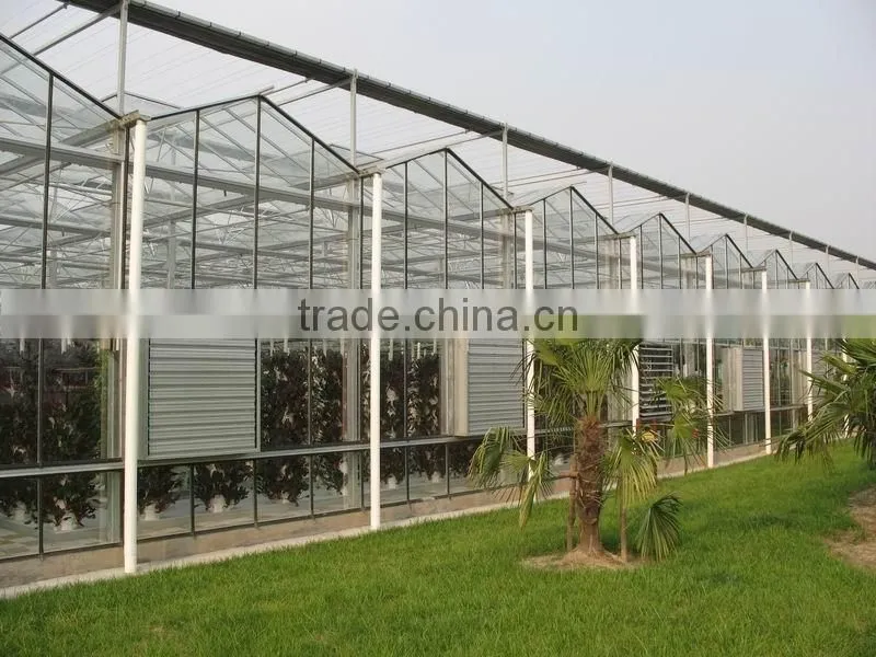 Flower cultivation greenhouse water circulation