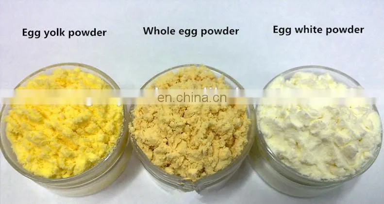 Automatic whole egg powder processing plant