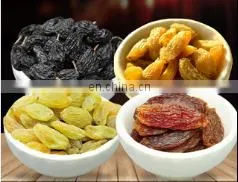 plant for raisin /dried grapes processing machine