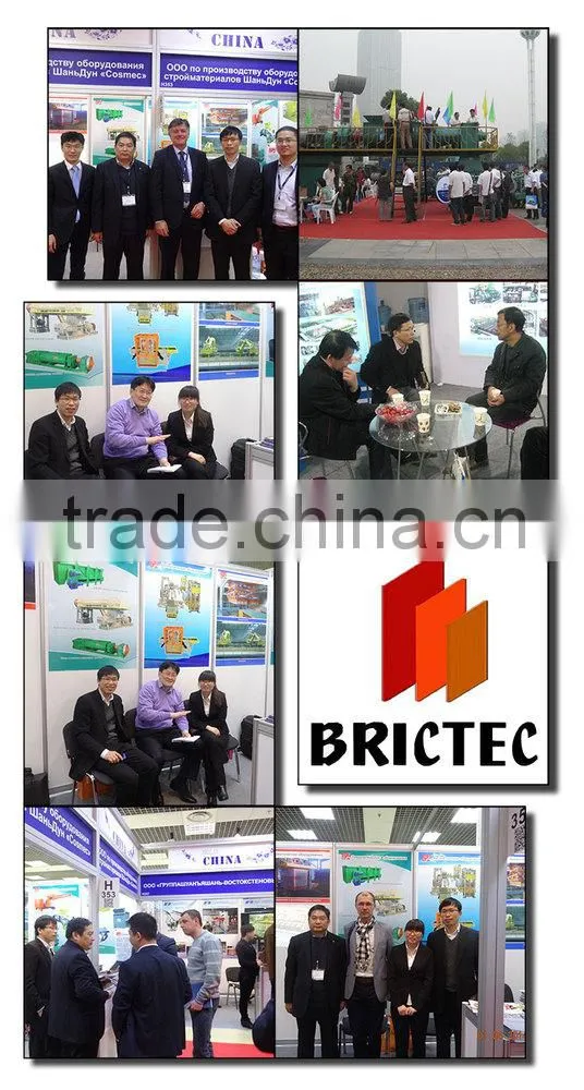 High Quality Paver Brick Making Machinery with low investment