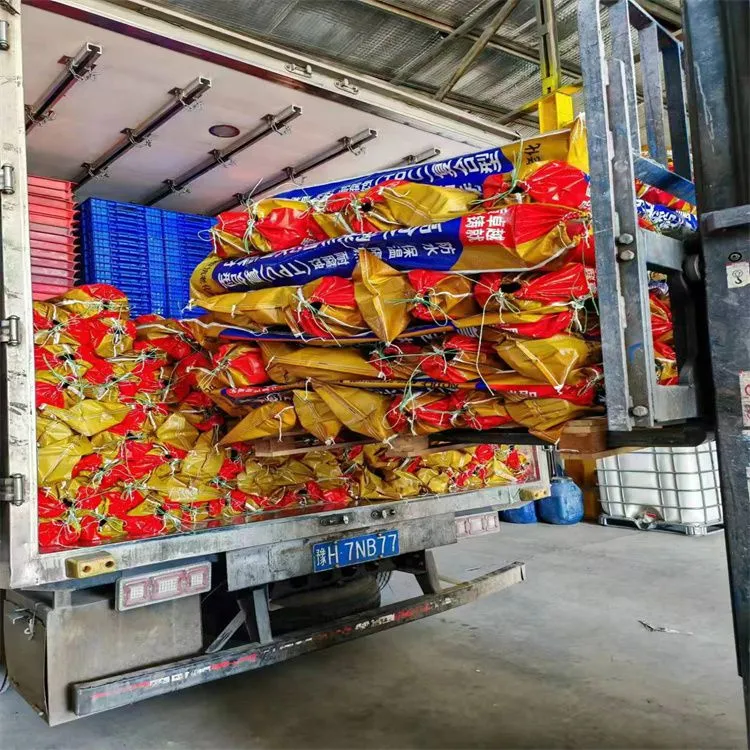 2024-10-6 (7)_副本.jpg