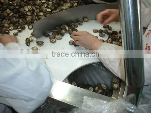 dried tea flower mushroom