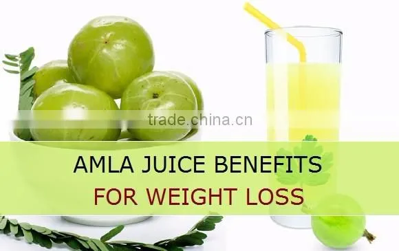 High Grade Amla powder Bulk Producers