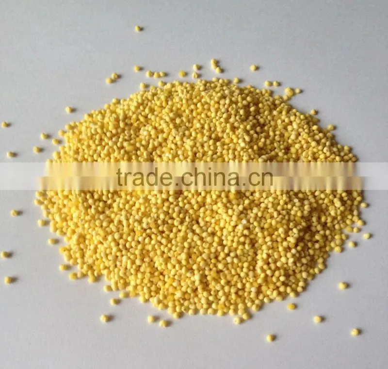 HULLED BROOMCORN MILLET