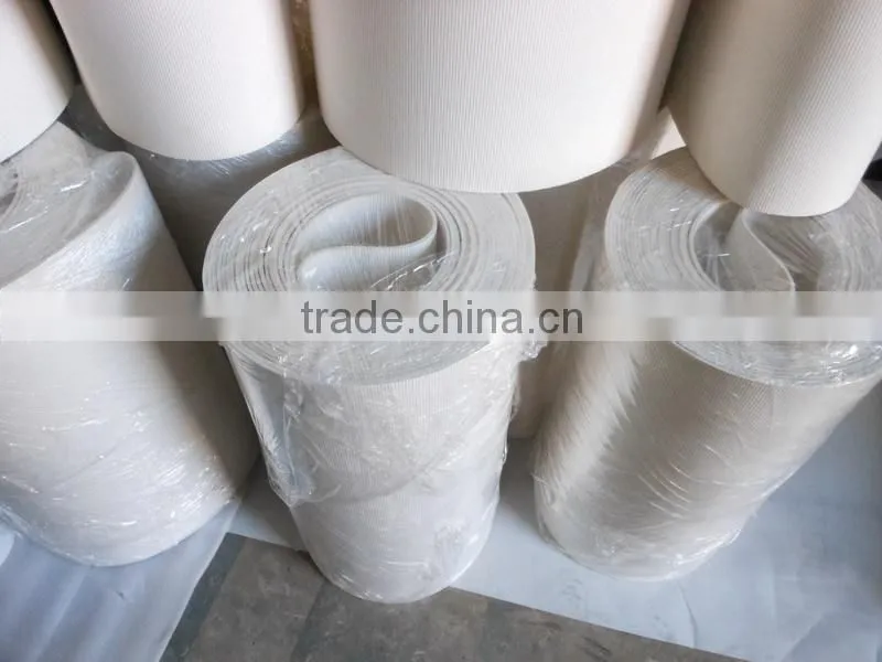 Cotton Biscuit Webbing