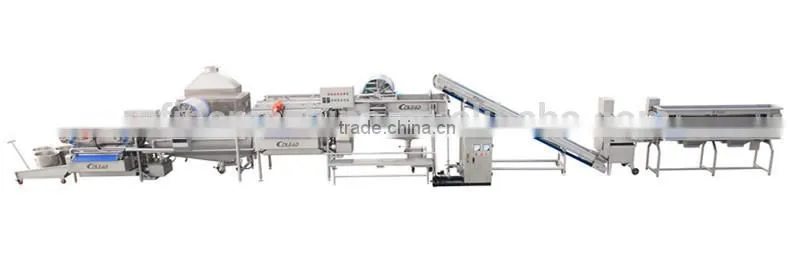 stainless steel vegetable washing machine/vegetable processing machine/vegetable cutting machine from Colead