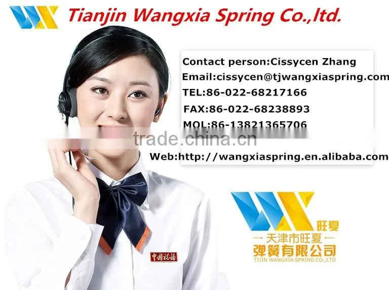 Strict quality Spring automobile suspension spring
