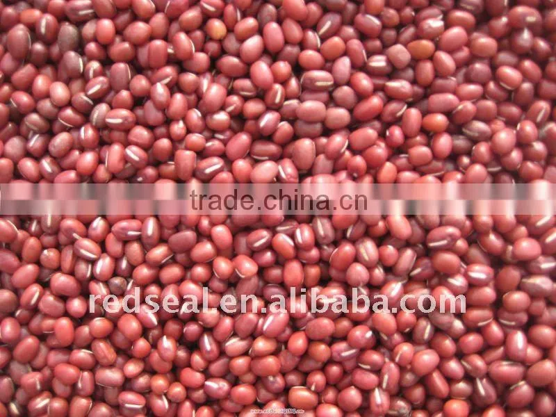 Organic Small Red beans
