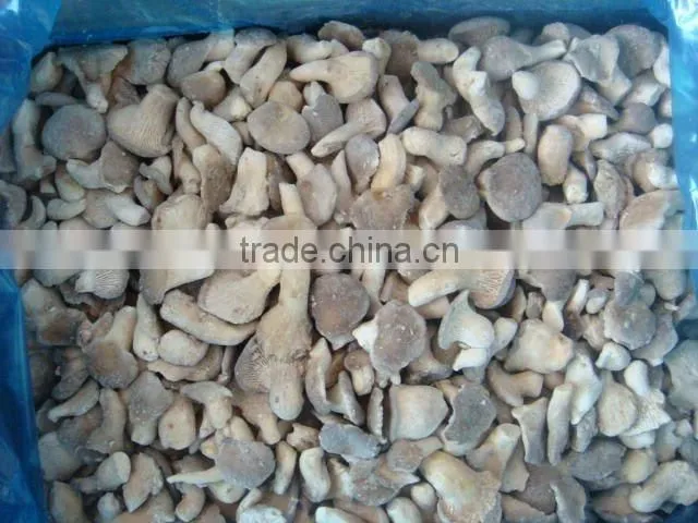 China new crop Frozen baby oyster