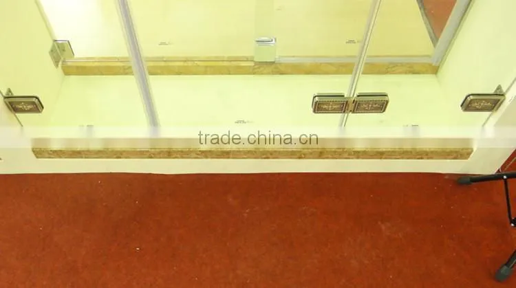 shower screen pivot hinges door GD9007