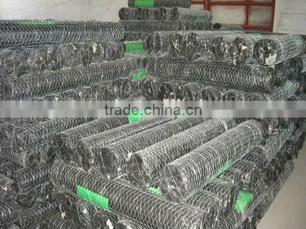 hot sale prime hexagonal wire mesh/ chicken wire mesh with low price