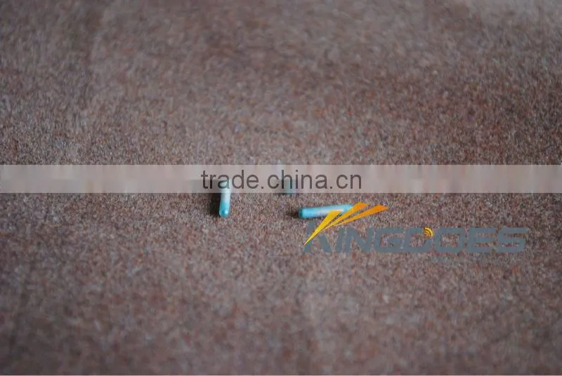 Smallest RFID Glass Tag