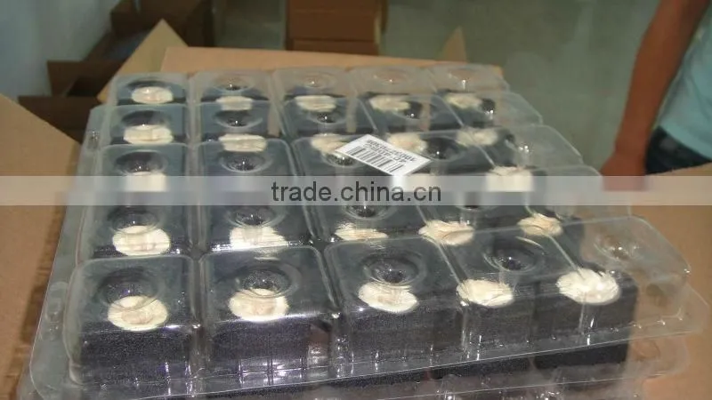 Solid ink rolls for printing expiry date and batch number