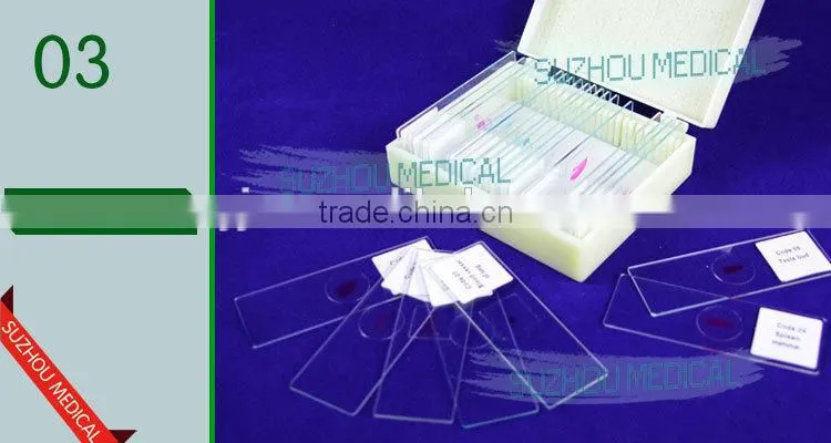 Lab accessories microbiology bacteria prepared slides