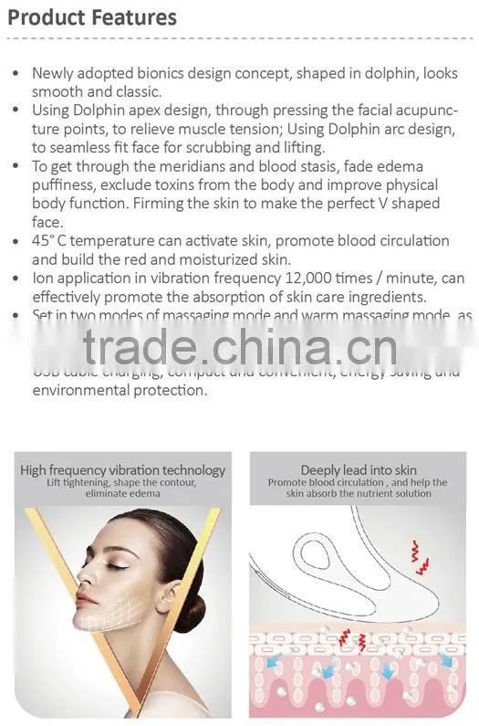 Personal Beauty Equipment Face Wrinkle Remover Rechargeable Vibrating Galvanic Facial Machine price