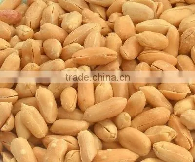shandong new crop blanched peanut kernels