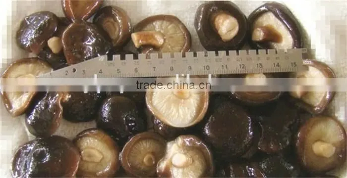 CANNED SHIITAKE MUSHROOM