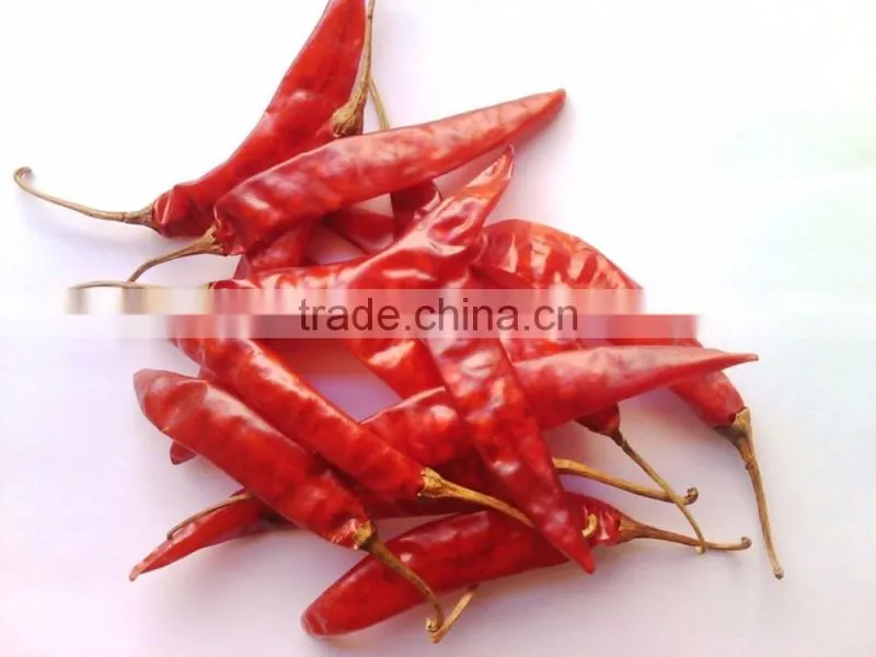Exporters of Premium Grade Dried Red Chilli for Worldwide Importers