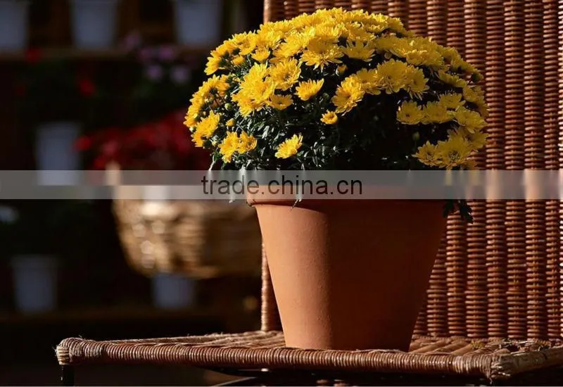 Flower Fulvic acid fertilizer