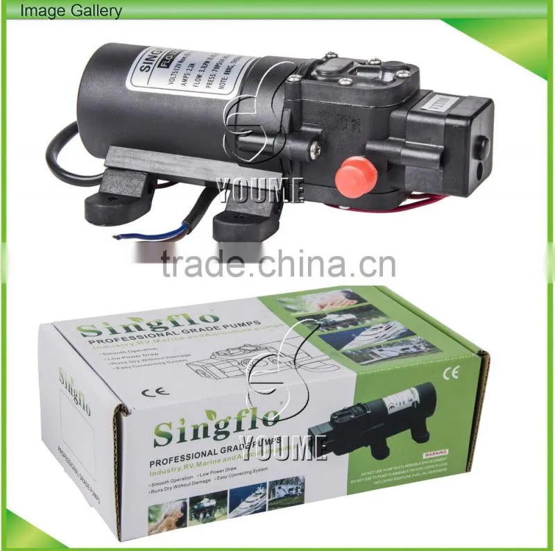 DC Pest control pressure sprayer pump