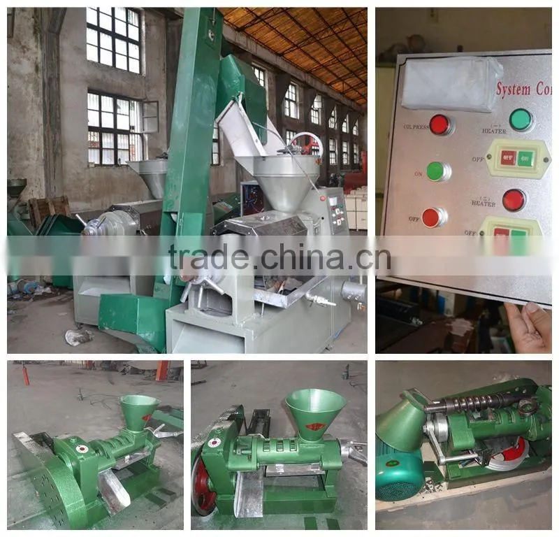 6YL-100 semi-automatic oil press machine