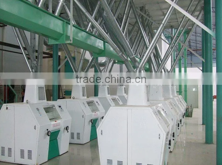 120t automatic wheat flour machine