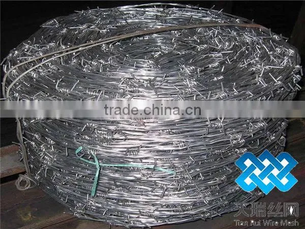 galvanized steel coiled barbed wire