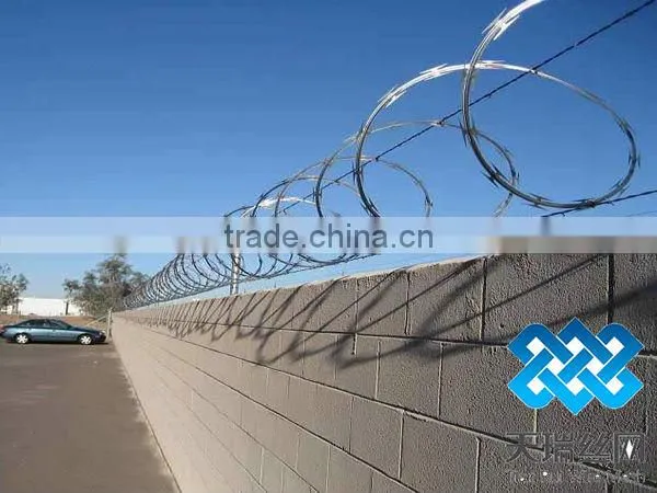High quality galvanized razor wire with clips