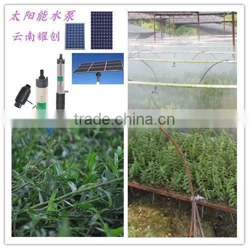 65W poly silicon solar panel With ISO ,TUV,CE