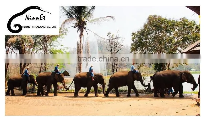 Wood Carved Elephant from Thailand