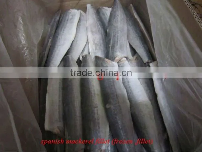 Spanish mackerel fillet