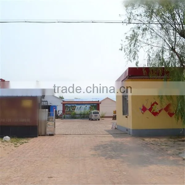 galvanized earth anchor/earth auger anchor