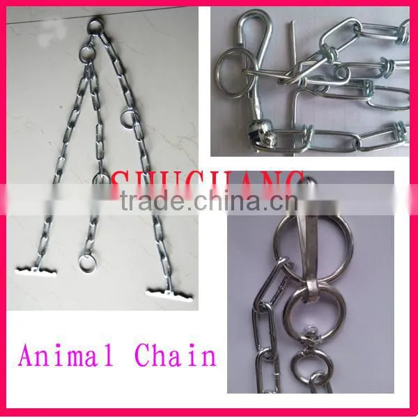 High Quality Stainless Steel Eye Bolt Din580
